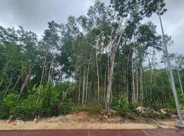 Terreno / Lote , Solidaridad · Terreno de 192 m² en Venta, Ciudad Mayakoba