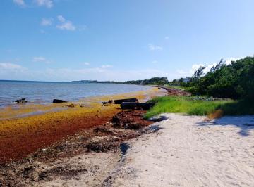 Terreno / Lote , Puerto Morelos · Terreno de 885 m² en Venta en Puerto Morelos. Bahía Petempich. Terreno con Frente de Playa.