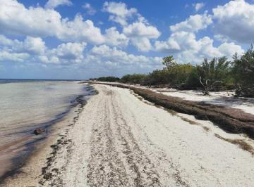 Terreno / Lote · 1500m² · Venta Terreno en Dzilam de Bravo, Yucatan
