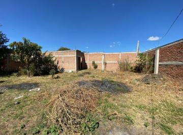 721b214219211aa110b94a0bb23d4e9b709197c4832a0c6cc0d989a8fb7bbc3a · Se Venden 3 Lotes Juntos en Zona El Salto