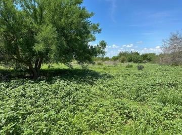 Terreno / Lote , La Paz · ¡Terreno en Venta en San Pedro, B. C. s! Lote 1