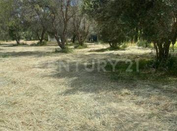 Terreno / Lote · 1237m² · Terreno en Venta Eden Los Sabinos