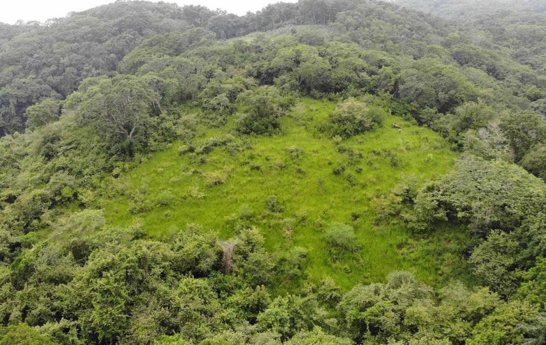 Ranch for Sale – 184 Hectares Located in El Naranjal, Tamiahua, Veracruz