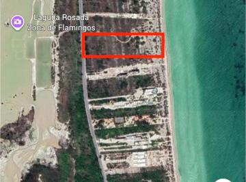 Terreno / Lote , Telchac Puerto · Venta Terreno de 20 Ml Frente Al Mar en Playa San Bruno, Telchac Yucatan