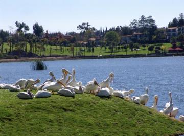 Casa · 300m² · 4 Recámaras · 3 Estacionamientos · Casa en Preventa Cumbres del Lago Juriquilla Queretaro