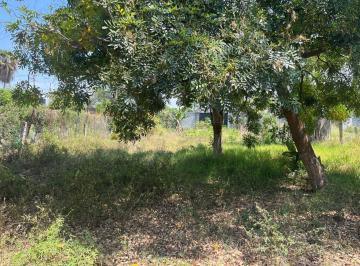 Terreno / Lote · 1007m² · Terraza - Pueblo Oacalco