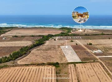 Terreno / Lote · 1000m² · En Venta Terreno en Playa Tierra Blanca, Puerto Escondido, Oaxaca