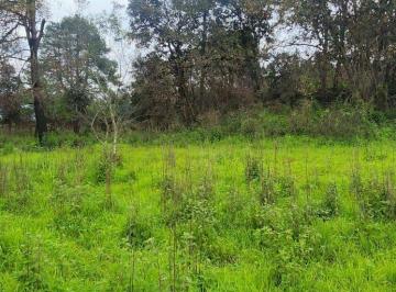 Terreno / Lote · 19406m² · Terreno en Venta en Atlautla Estado de México