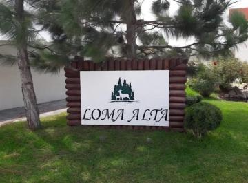 Terreno / Lote , Arteaga · Lotes en Venta en Loma Alta