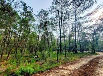 Terreno / Lote , Huasca de Ocampo · Terreno en Venta Huasca Hidalgo