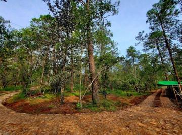 Terreno / Lote , Huasca de Ocampo · Terreno en Venta Huasca Hidalgo