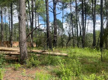 Terreno / Lote , Huasca de Ocampo · Terreno en Venta Huasca Hidalgo
