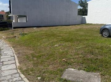 Terreno / Lote , Tlajomulco de Zúñiga · Venta de Terreno en Residencial Sendero de Las Moras
