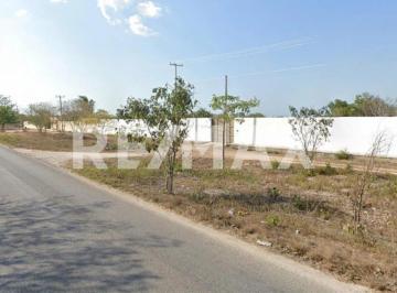 Terreno / Lote · 16000m² · Terreno en Venta en Carretera Chablekal a Conkal, Yucatán - (4)