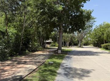 b3a062de521d846d0552ac3d25de0f6cb439ba415f55c37972b69b354ac02803 · Terreno en Av Paseo del Jaguar Yucatan Country Club