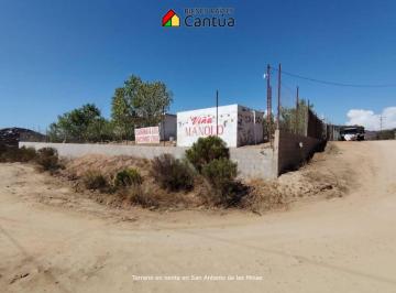 Terreno / Lote , Ensenada · Terreno en Venta | Viñedo con Árboles Frutales | San Antonio de Las Minas