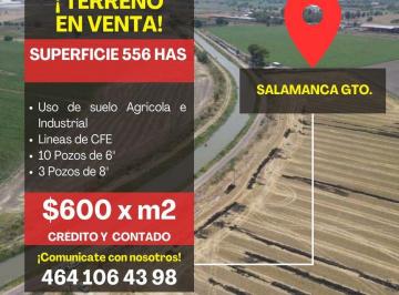 Terreno / Lote , Salamanca · Terreno en Venta 556 Ha, Salamanca Gto
