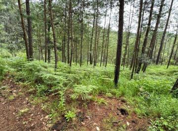 Terreno / Lote · 60000m² · Lote / Terreno en Venta en Huasca de Ocampo