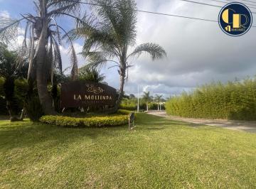 Terreno / Lote · 145m² · Terreno - Tres Pasos