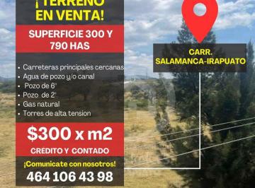 Terreno / Lote , Irapuato · Terreno en Venta 1000 Has, Carretera Salamanca - Irapuato
