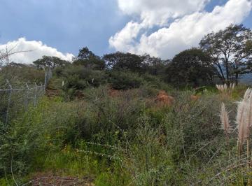 Terreno / Lote , Jilotzingo · Terreno en Venta, 1000 m², Jilotzingo, Espíritu Santo