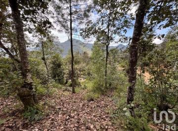 Terreno / Lote · 1000m² · Terreno en Venta en Huitepec, San Cristóbal de Las Casas