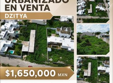 Terreno / Lote · 650m² · Terreno en Venta Urbanizado en Dzitya
