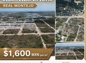 Terreno / Lote · 9928m² · Terreno Para Desarrollar en Real Montejo