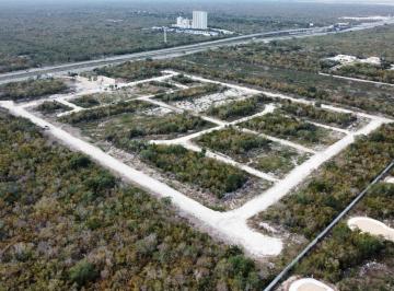 Terreno / Lote · 385m² · Lotes Residenciales Carretera Progreso, Tamanché.