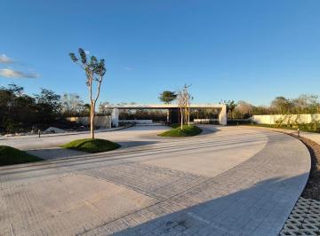 Terreno / Lote · 250m² · Terrenos en Venta Ubicados en Dzityá