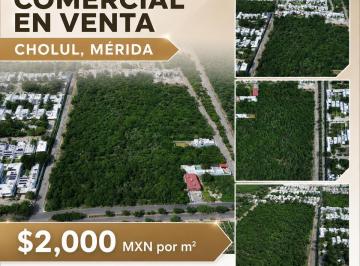Terreno comercial · 38660m² · Terreno en Venta en Esquina – Ideal Para Desarrollo Mixto Sobre Av
