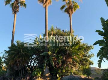 Rancho de 4 habitaciones, Zumpahuacán · Venta Rancho Barrio de Santiaguito, Zumpahuacán, Estado de México