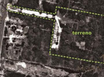Terreno / Lote · 60000m² · 6ha en Venta Sobre Bldv. Colosio en El Lado de Laguna