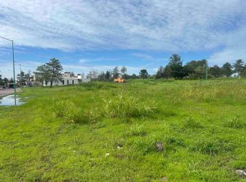 Terreno / Lote , León · Terreno en Venta en El Bosque