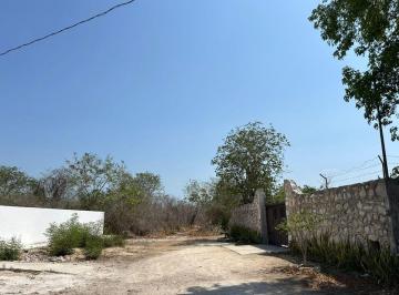 Terreno / Lote , Mérida · En Venta 5 Ha en Cheumán, Yucatán.