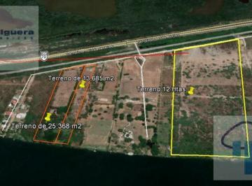 Terreno / Lote · 39054m² · Terreno - Tampico