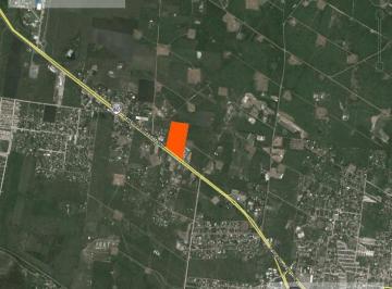 Terreno / Lote · 60000m² · Tv - 376 Terreno a La Venta Sobre La Carretera Tampico - Mante, Altamira, Tam