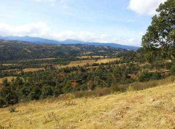 Terreno / Lote , Nicolás Romero · Terreno en Venta Salazar I, Nicolas Romero