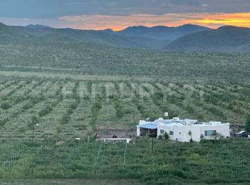Local comercial · 391000m² · Rancho en Venta en Lazaro Cardenas