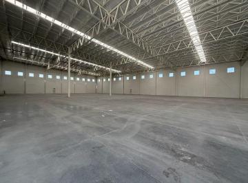 c7e955cdb68aade9a8c5ab27ec2ab9ac7754231ce9e2314ec60f3d8d9ae7981a · Bodega en Renta en Parque Industrial en Huinala