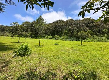 Terreno / Lote , Valle de Bravo · Terreno en Venta, 679 m², El Cerrillo