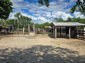 0d2b8efed0df8ff3941ff67f544a07a6a534247e144e6bf9c3b933bb5da1b8f5 · ¡Excelente Rancho en Venta! Sucila, Yucatán.