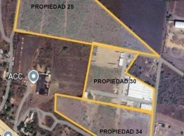 Terreno / Lote · 40000m² · Terreno en Venta en Santa Amalia, Altamira, Tamaulipas