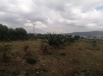 Terreno / Lote · 16000m² · Lote / Terreno en Venta en San Miguel Tornacuxtla