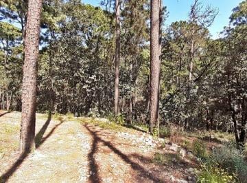 Terreno / Lote 4999m² Venta Cerro Gordo · Terreno en Venta Avandaro, Cerro Gordo