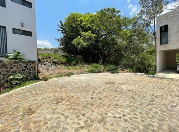 Terreno / Lote · 842m² · Terreno en Venta Calzada de Los Reyes, Zona Norte en Fraccionamiento