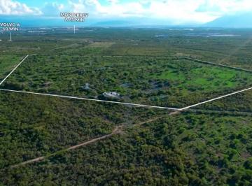 Terreno / Lote , Ciénega de Flores · Terrenos en Venta, Cienega de Flores, Nuevo León.