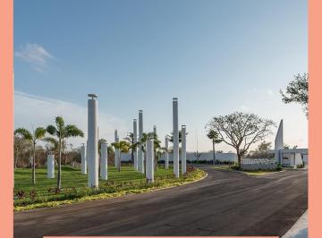 Terreno / Lote , Mérida · Se Vende Terreno de Oportunidad en Blanca Residencial a Precio de Oportunidad