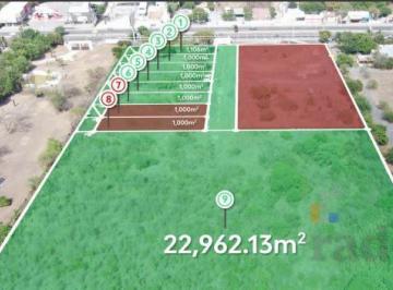 Terreno / Lote · 1000m² · Terreno Renta Los Cristales Carretera Nacional