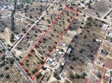 Terreno / Lote · 27792m² · Terreno en Venta Santa Catarina Alcolman Estado de México